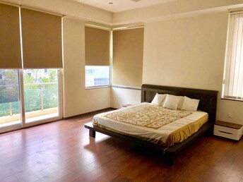 3 BHK Apartment For Rent in Defence Colony Delhi  8007912