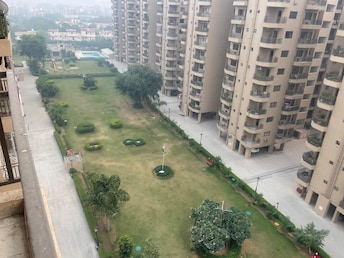 2 BHK Apartment For Rent in Ardee City Palm Grove Heights Sector 52 Gurgaon  8008131