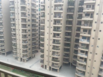 2 BHK Apartment For Rent in Ardee City Palm Grove Heights Sector 52 Gurgaon  8008131