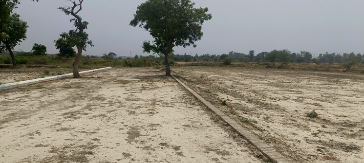 undefined, sitapur road  1000 Sq.Ft. Plot In Sitapur Road Lucknow 8008171
