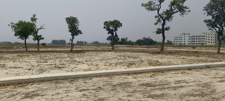 undefined, sitapur road  1000 Sq.Ft. Plot In Sitapur Road Lucknow 8008171