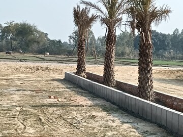  Plot – Exterior View View at Gomti Nagar - for Sale