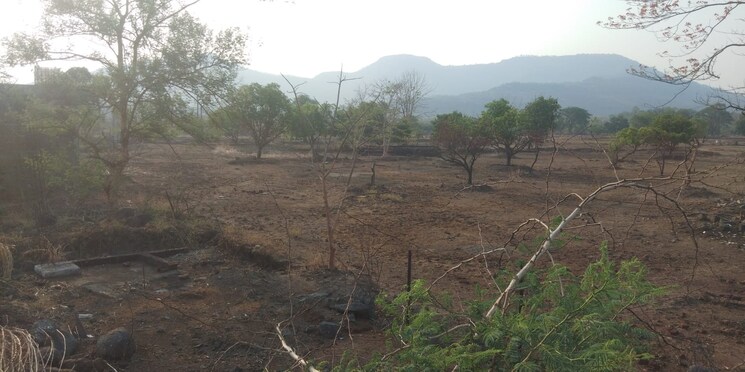 undefined, panvel  4356 Sq.Ft. Plot In Panvel Navi Mumbai 8008491