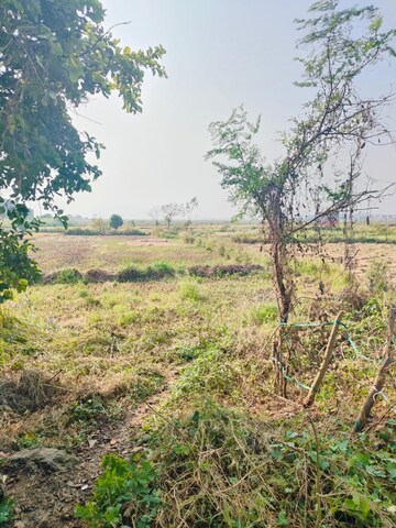 Plot Area in  Land at Chirle – for Sale