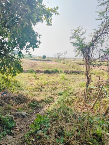 Plot Area in  Land at Chirle – for Sale