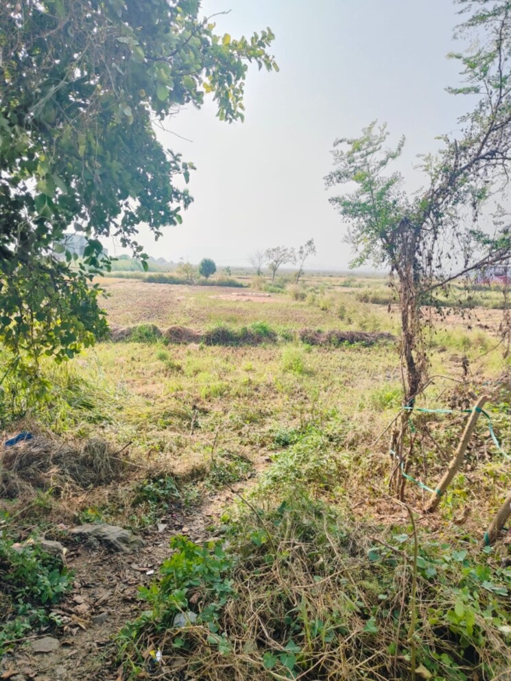 undefined, chirle Commercial Land 1089 Sq.Ft. In Chirle Navi Mumbai 8008624