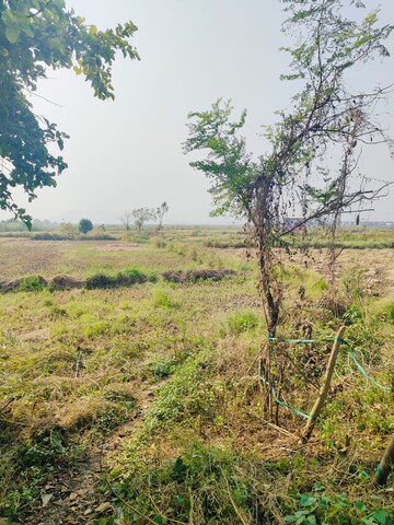 Plot Area in  Land at Chirle – for Sale