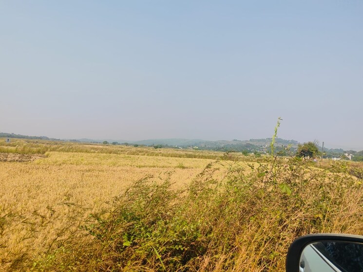 undefined, chirle  1089 Sq.Ft. Plot In Chirle Navi Mumbai 8008628