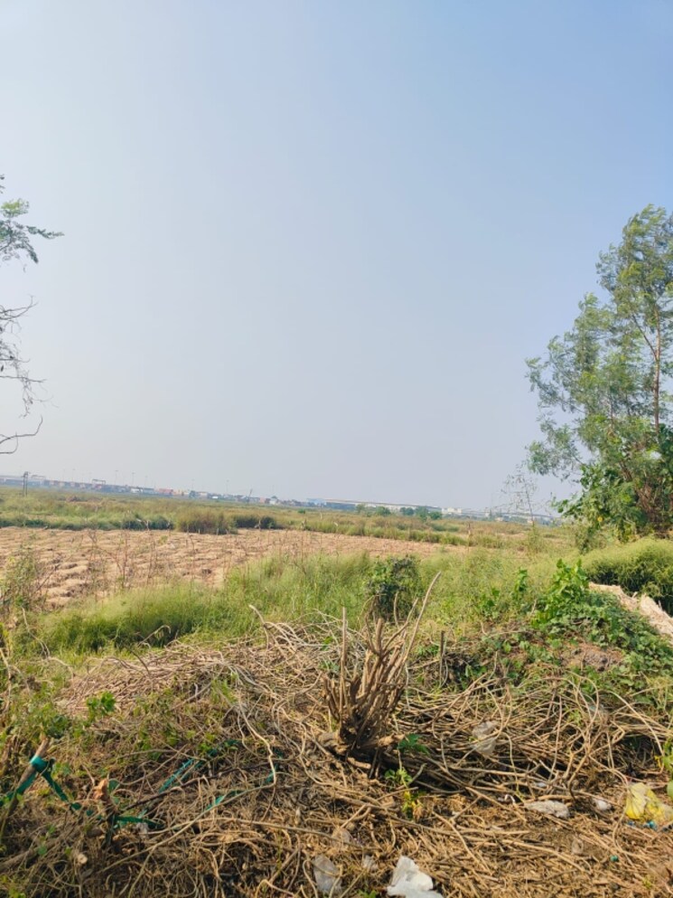 undefined, chirle  1089 Sq.Ft. Plot In Chirle Navi Mumbai 8008628