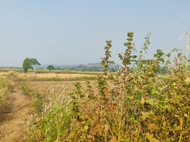 Plot For Sale in Legal Property Developers