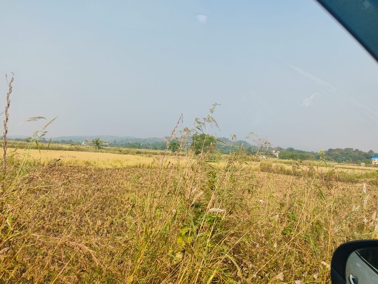 undefined, chirle  1089 Sq.Ft. Plot In Chirle Navi Mumbai 8008628