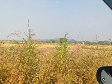 Plot Area in  Plot at Chirle – for Sale