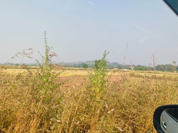 undefined, chirle  1089 Sq.Ft. Plot In Chirle Navi Mumbai 8008628