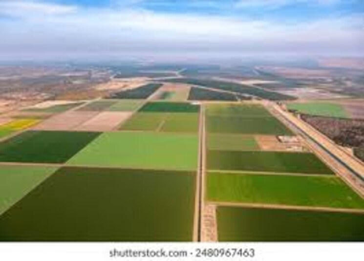 Exterior View, chirle  1089 Sq.Ft. Plot In Chirle Navi Mumbai 8008632