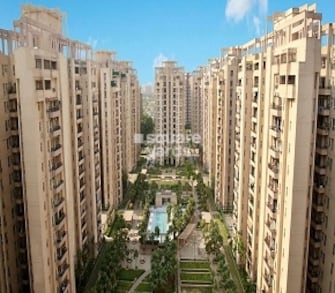 3 BHK Apartment For Rent in Orchid Petals Sector 49 Gurgaon  8008634