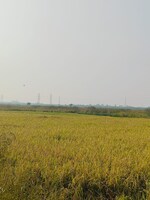 1089 Sq.Ft. Plot in Chirle