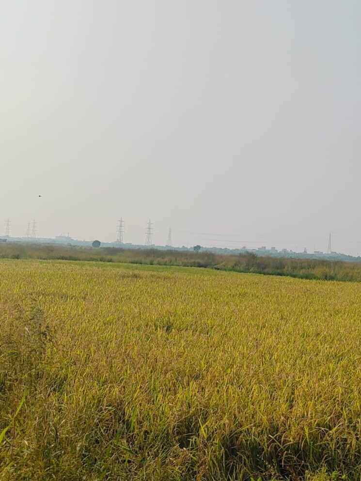 undefined, chirle  1089 Sq.Ft. Plot In Chirle Navi Mumbai 8008636