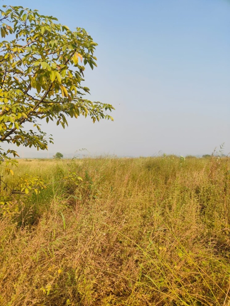 undefined, chirle  1089 Sq.Ft. Plot In Chirle Navi Mumbai 8008636