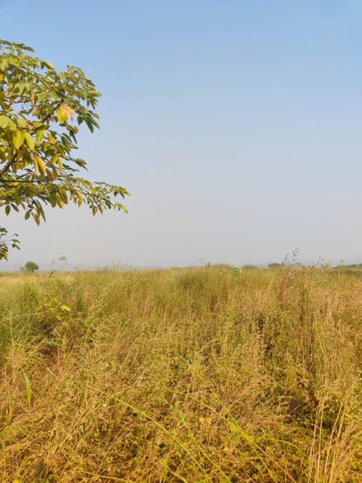 undefined, chirle  1089 Sq.Ft. Plot In Chirle Navi Mumbai 8008651