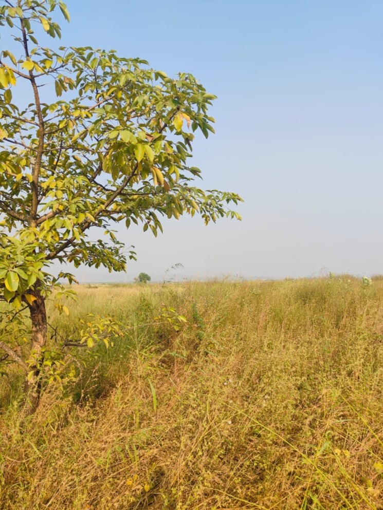 Garden, chirle  1089 Sq.Ft. Plot In Chirle Navi Mumbai 8008651