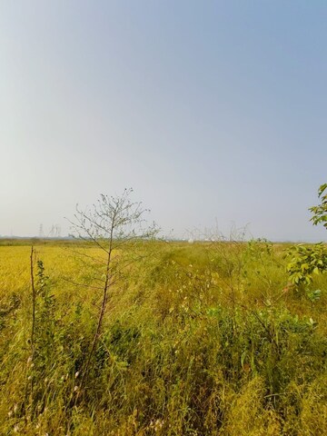 Plot Area in  Plot at Chirle – for Sale