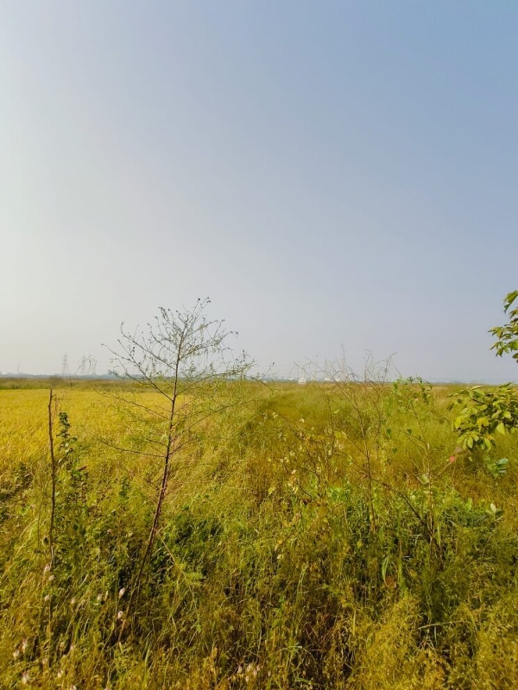 undefined, chirle  1089 Sq.Ft. Plot In Chirle Navi Mumbai 8008651