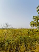 1089 Sq.Ft. Plot in Chirle