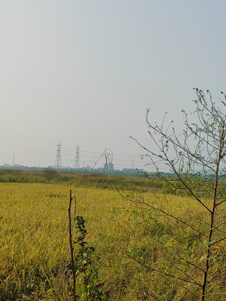 undefined, chirle  1089 Sq.Ft. Plot In Chirle Navi Mumbai 8008682