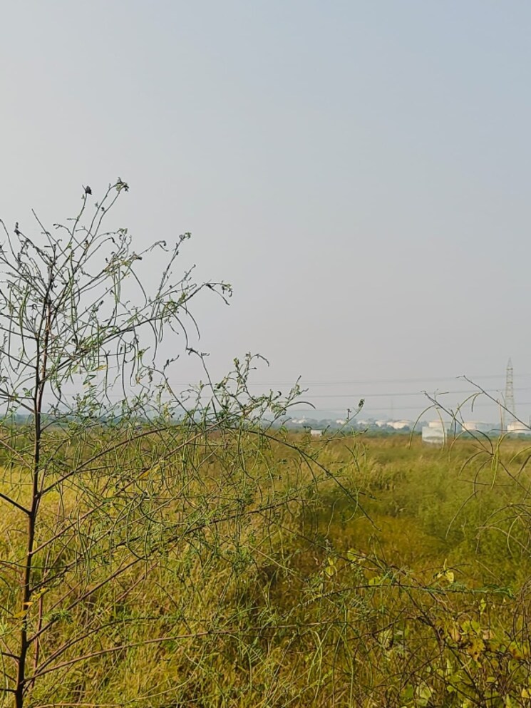 undefined, chirle  1089 Sq.Ft. Plot In Chirle Navi Mumbai 8008682