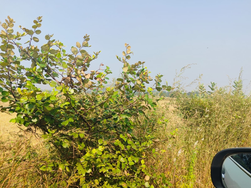 Plot For Sale in Legal Property Developers