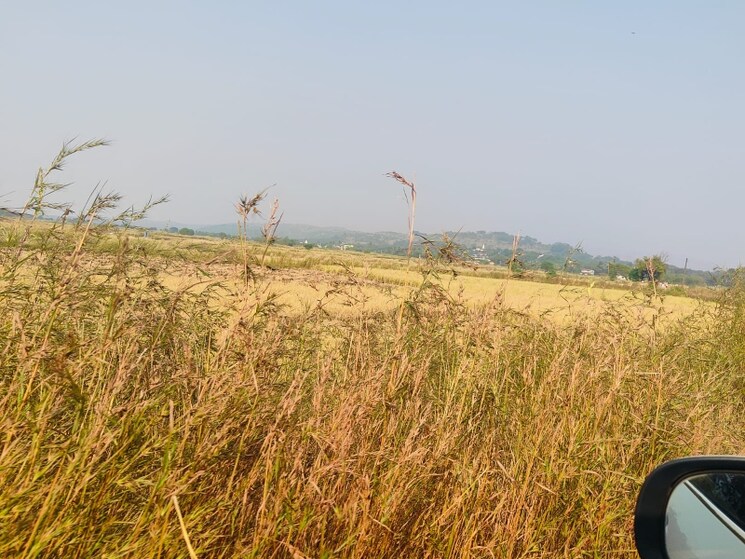 undefined, chirle  1089 Sq.Ft. Plot In Chirle Navi Mumbai 8008749