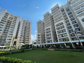 3 BHK Apartment For Resale in Allwin El Spazia Sanauli Zirakpur  7794611