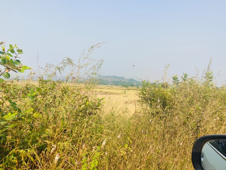 undefined, chirle  1089 Sq.Ft. Plot In Chirle Navi Mumbai 8008770