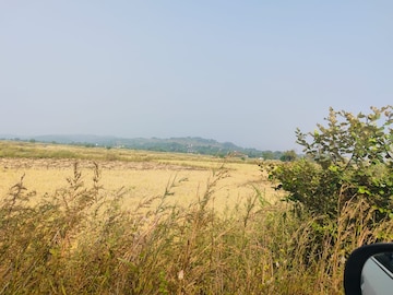  Plot For Sale in Chirle