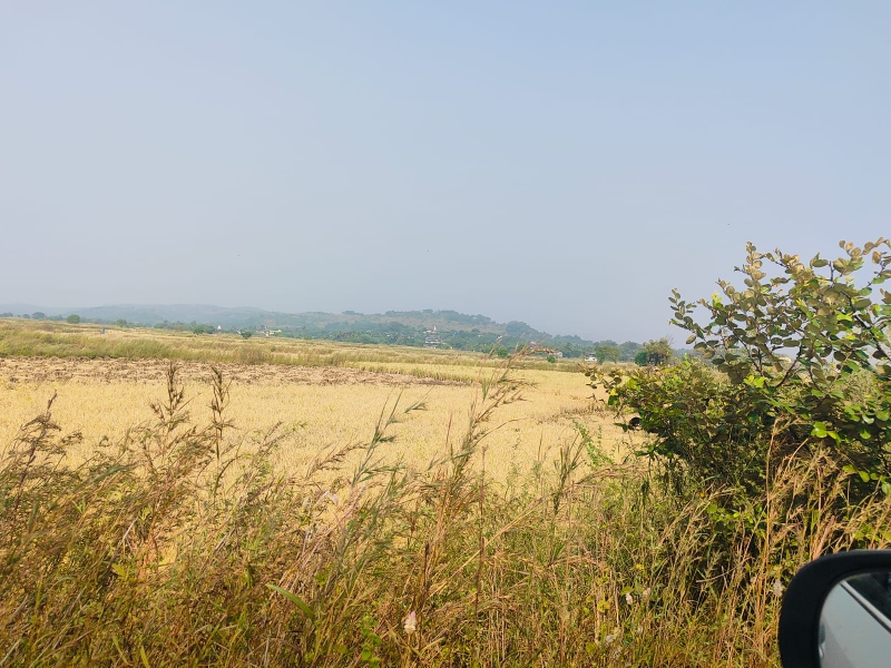 Plot For Sale in Legal Property Developers