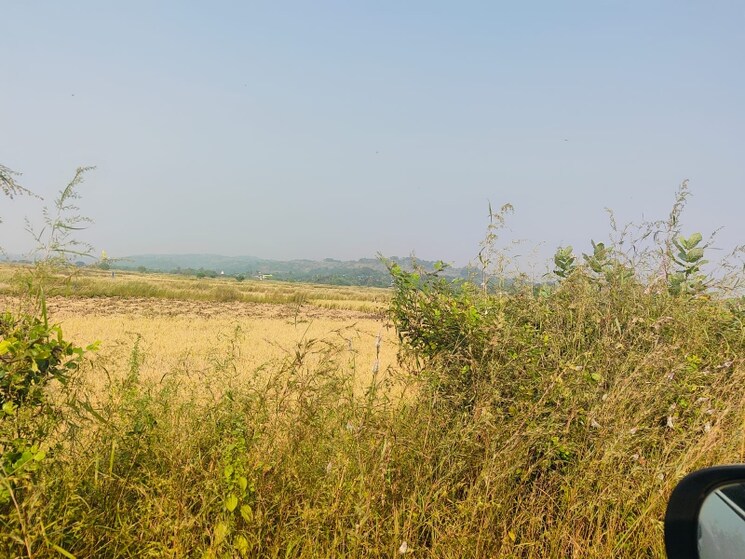 Exterior View, chirle  1089 Sq.Ft. Plot In Chirle Navi Mumbai 8008770