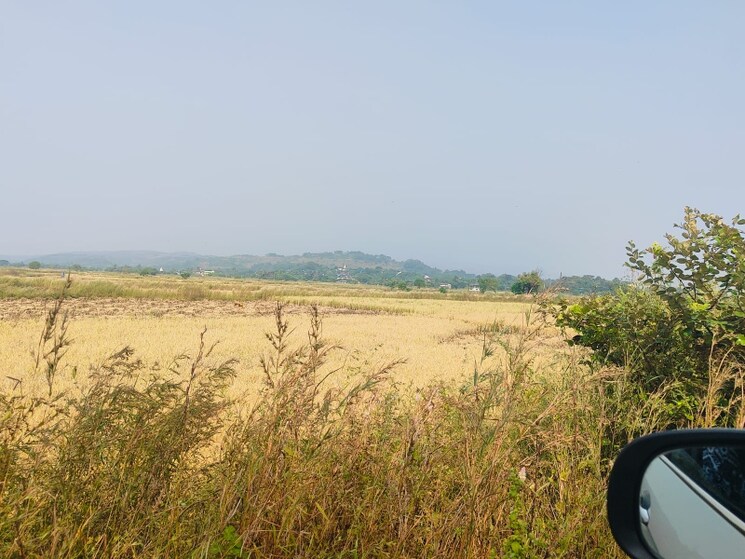 undefined, chirle  1089 Sq.Ft. Plot In Chirle Navi Mumbai 8008770