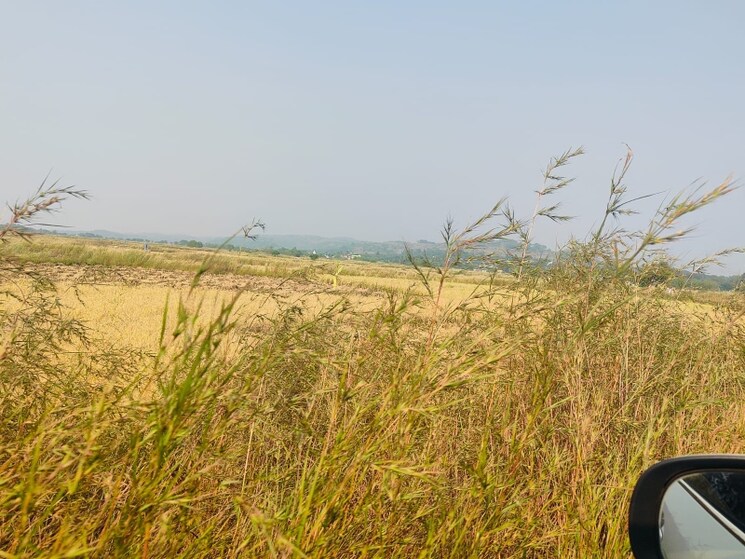 Exterior View, chirle  1089 Sq.Ft. Plot In Chirle Navi Mumbai 8008830