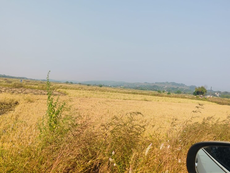 Exterior View, chirle  1089 Sq.Ft. Plot In Chirle Navi Mumbai 8008830