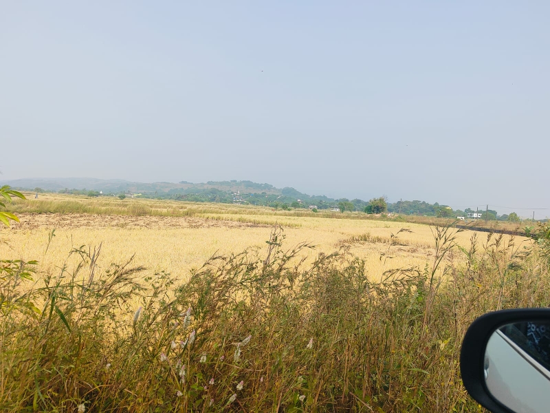 Plot For Sale in Chirle