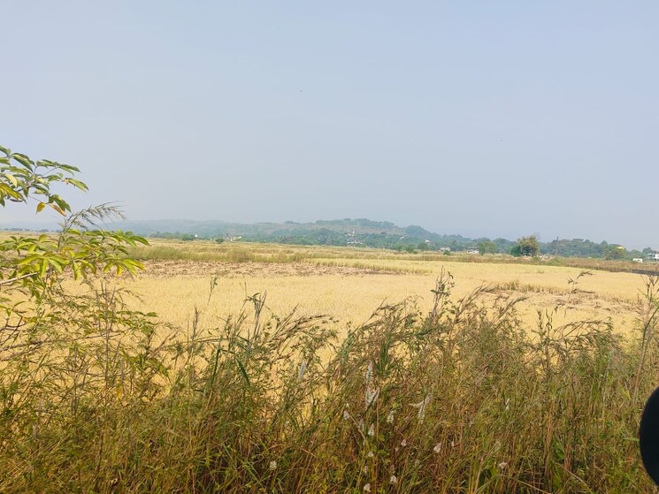 undefined, chirle  1089 Sq.Ft. Plot In Chirle Navi Mumbai 8008840