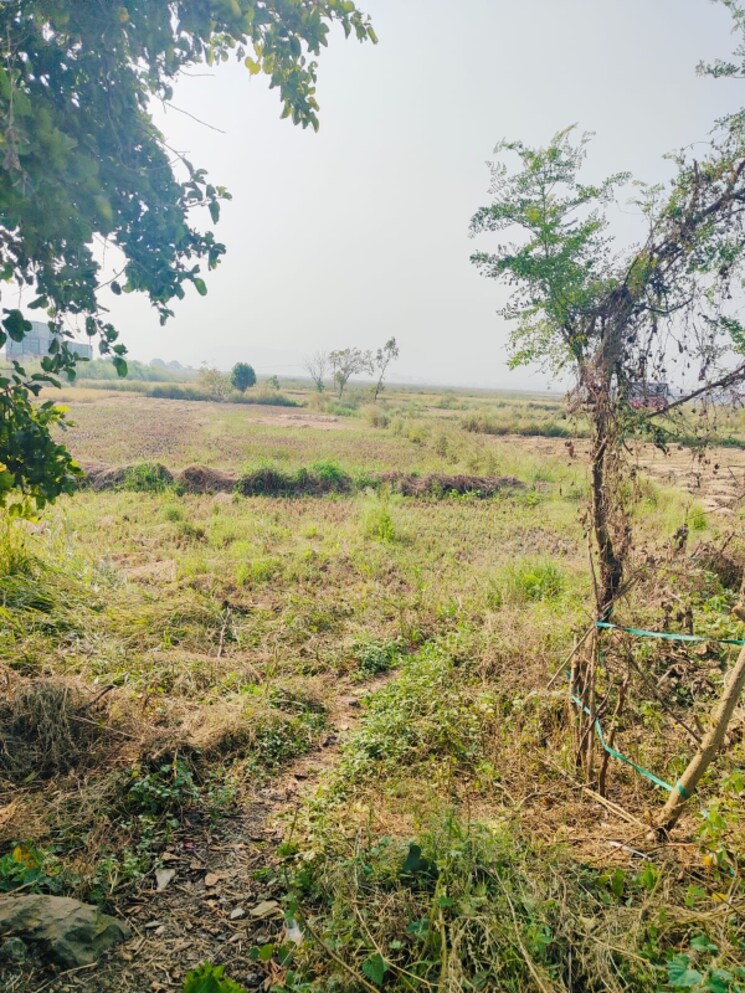 undefined, chirle  1089 Sq.Ft. Plot In Chirle Navi Mumbai 8008853