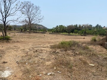 Plot Area in  Plot at Alibag – for Sale