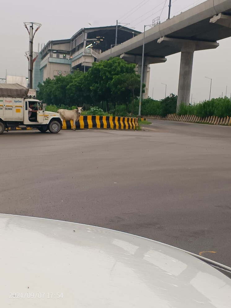 Exterior View, jewar  100 Sq.Yd. Plot In Jewar Greater Noida 8008919