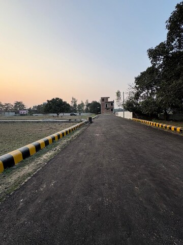  Plot For Sale in Gosainganj