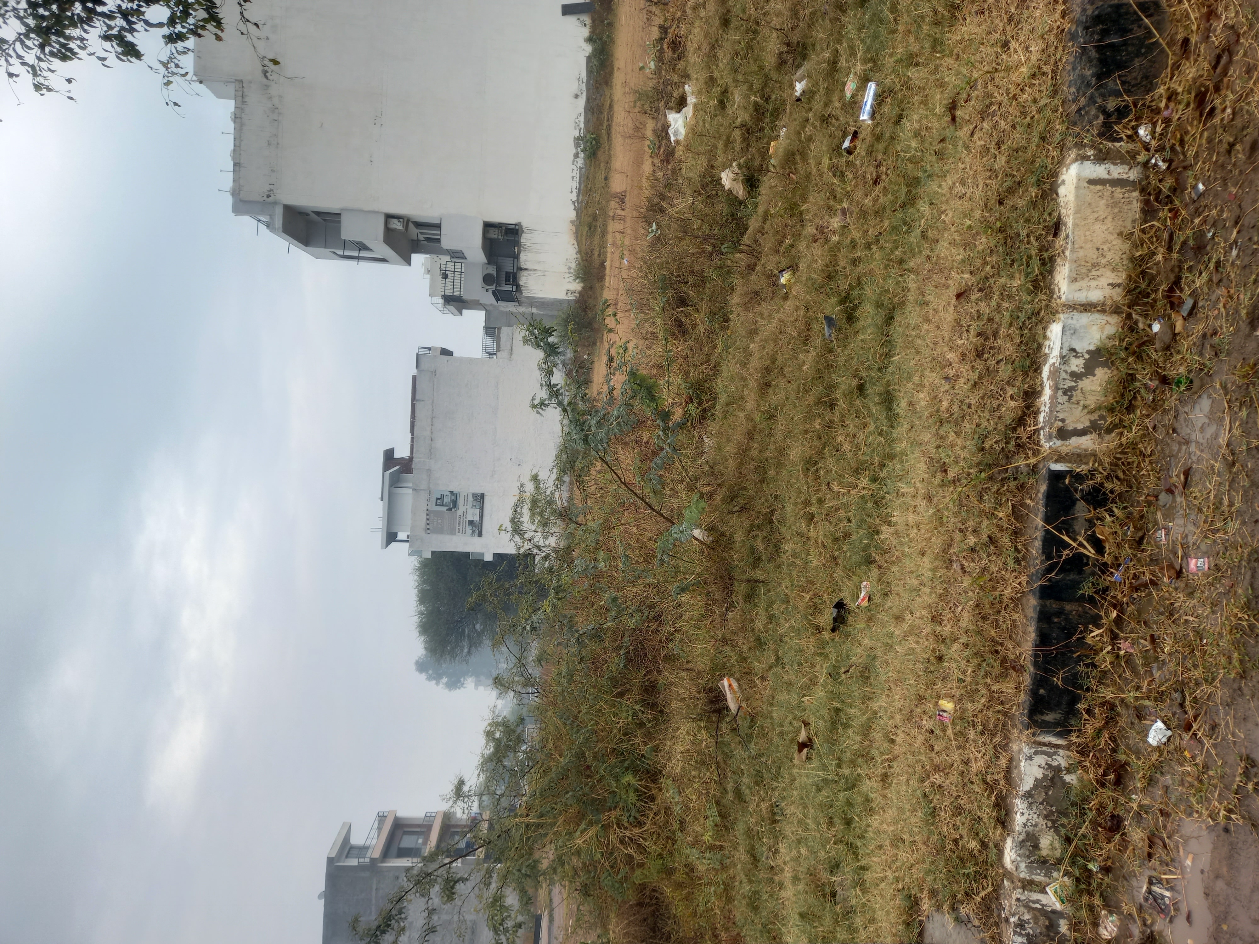 Plot For Sale in Sec 123 Sunny