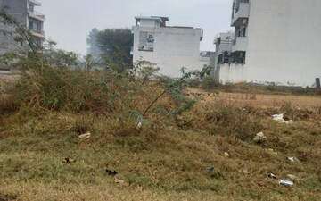 Plot For Sale in Sector 123