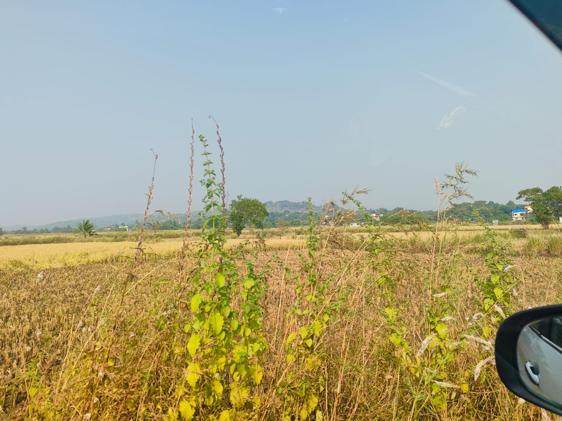 Land For Sale in Legal Property Developers