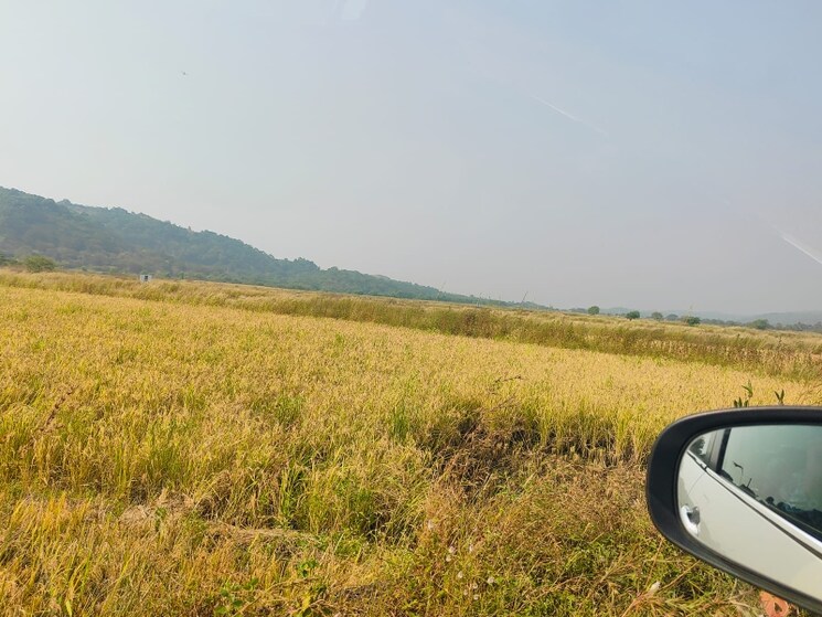 undefined, chirle Commercial Land 1089 Sq.Ft. In Chirle Navi Mumbai 8009023