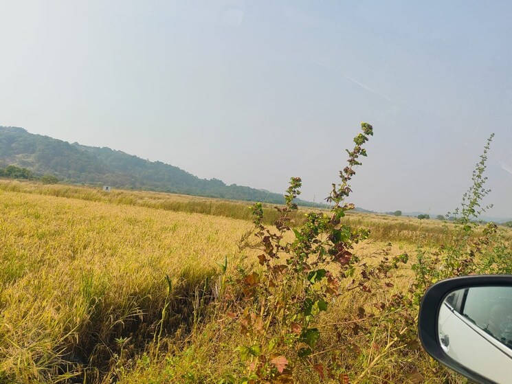 undefined, chirle Commercial Land 1089 Sq.Ft. In Chirle Navi Mumbai 8009023